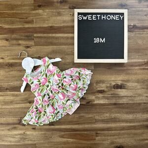 NWT SweetHoney Belle Bubble Dress Tumbling Whisp Floral Sleeveless Pink Knit 18M
